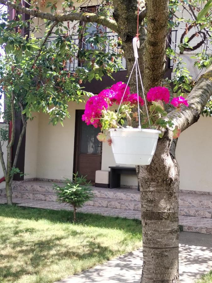 La Babusca Două Mai Exterior foto